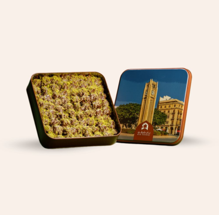 بيتيفور شوكلاتة / الحجم الصغير